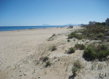 STATION : Gandia / Playa de Xeraco