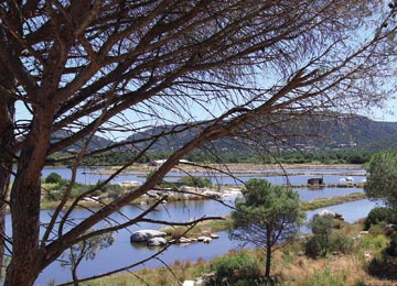 STATION : Porto Vecchio