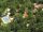 ALLAS LES MINES ST CYPRIEN : Camping Domaine de Cro Magnon