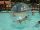 JARD SUR MER : Camping le Curty'S