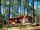 LEON : Village Sous les Pins