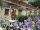 PONTASSIEVE - ROSANO SULL'ARNO : Appartements