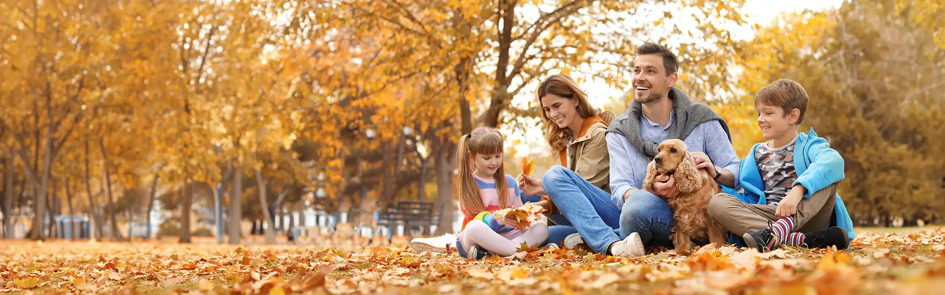 Parenthèse d'automne
