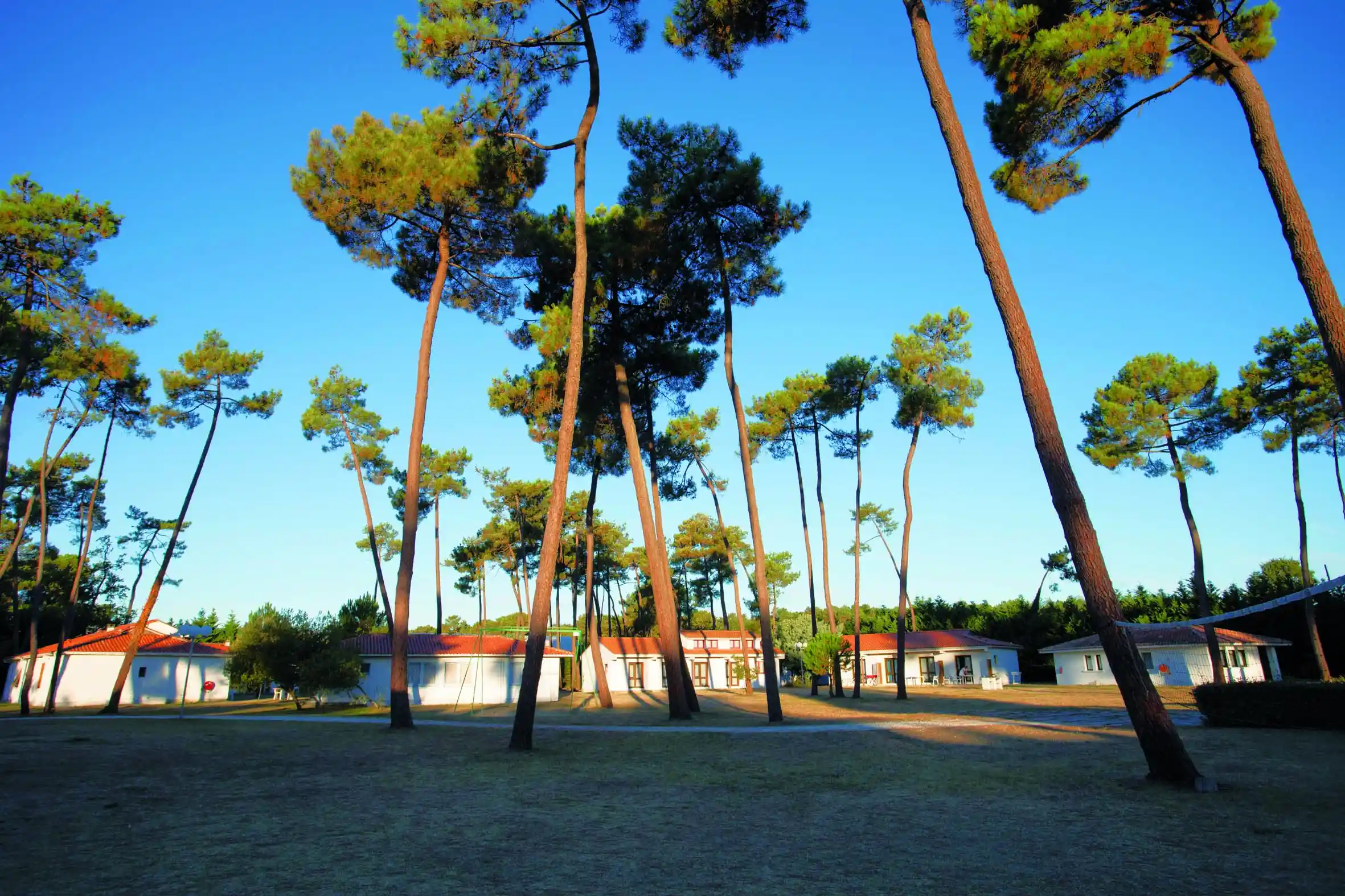 Lagrange Vacances&reg;  - Ronce les Bains - Residence Sous les Pins