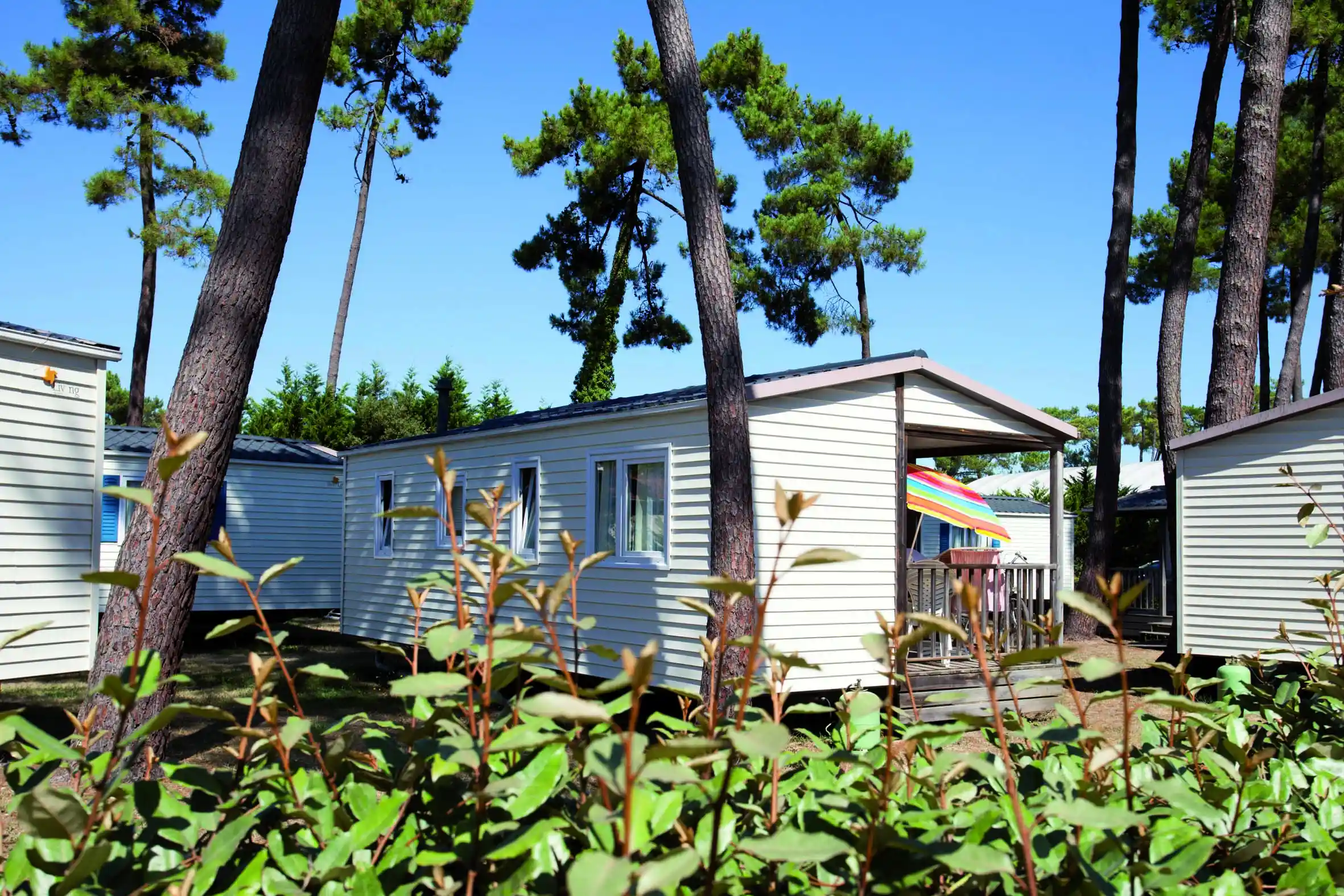 Lagrange Vacances&reg;  - Ronce les Bains - Residence Sous les Pins