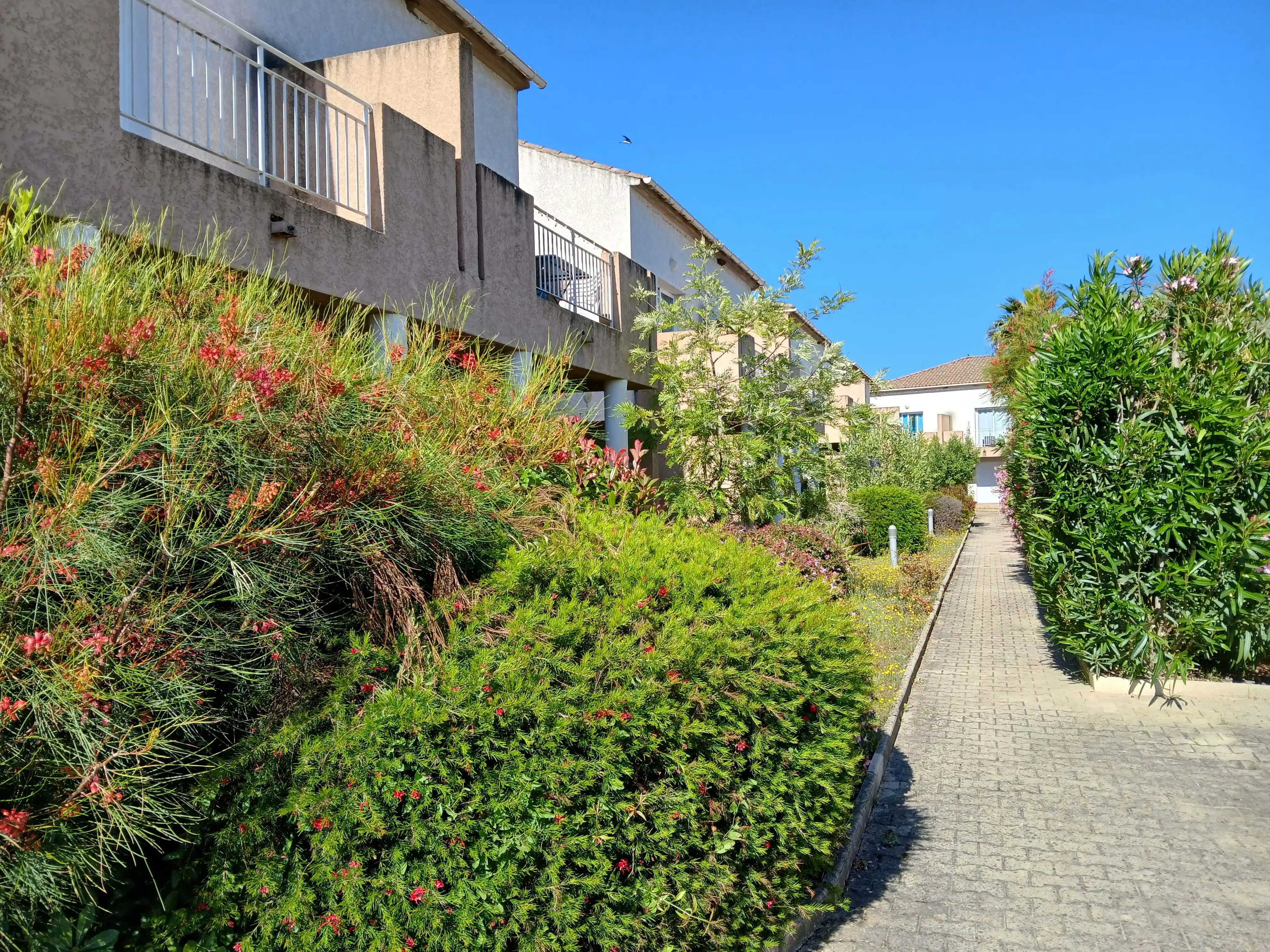 Lagrange Vacances®  - Linguizzetta - Les Hauts du Maquis