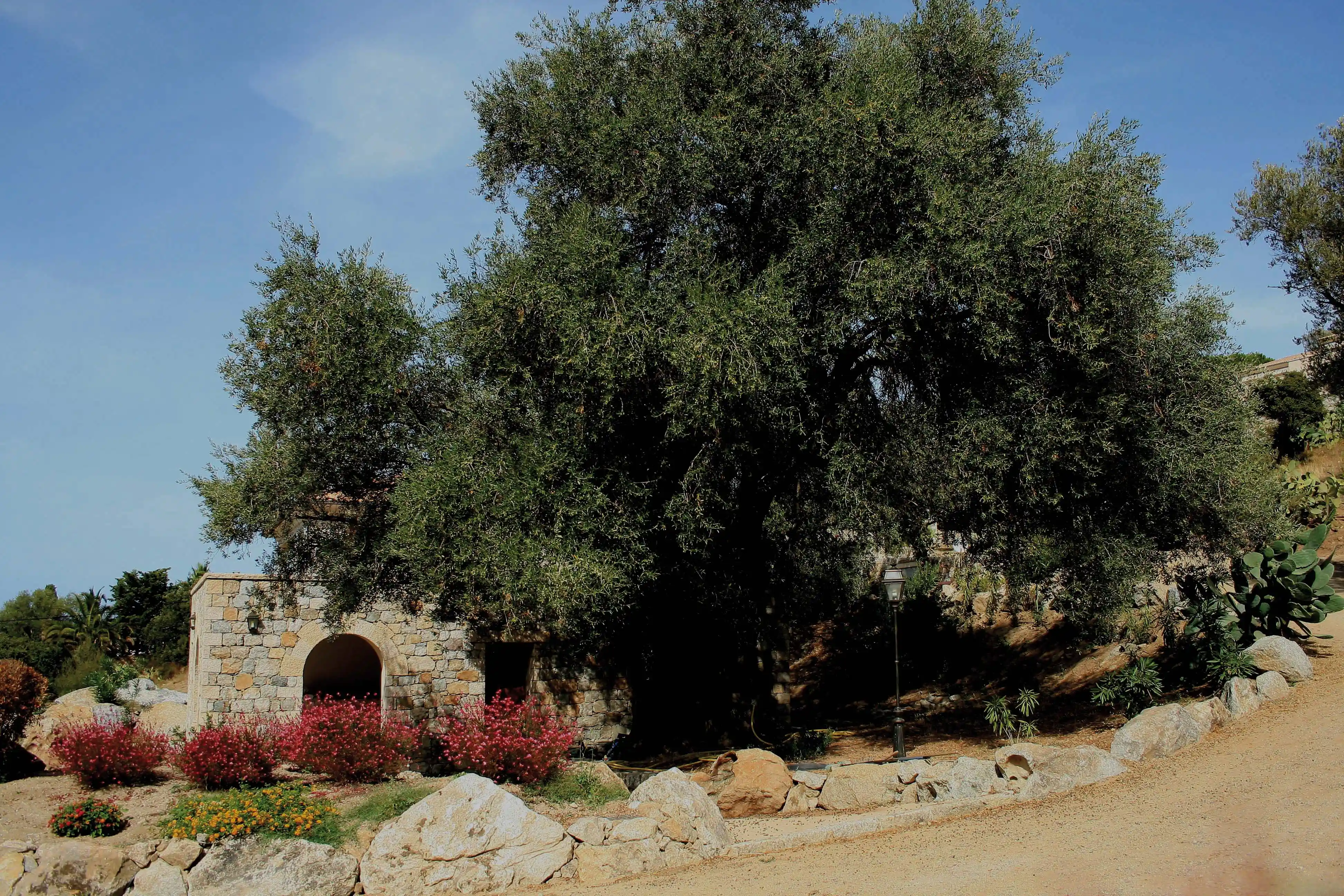 Lagrange Vacances&reg;  - Ile-Rousse - L'olivella