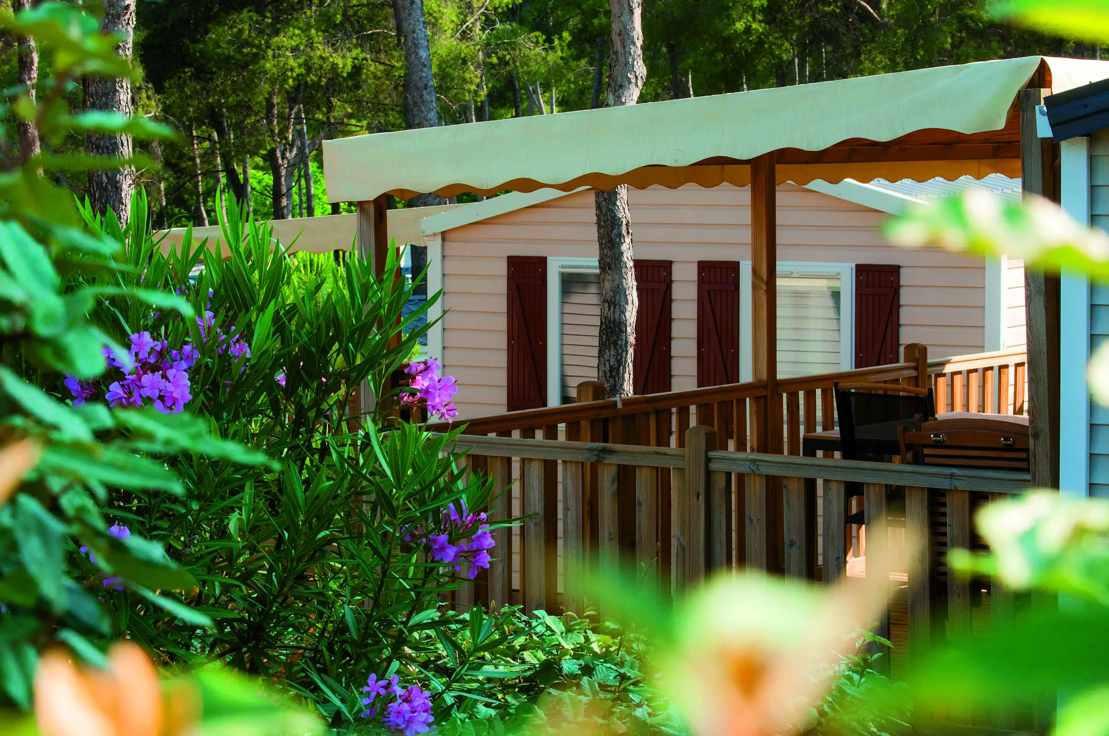Lagrange Vacances®  - Saint-Cyr-sur-Mer - CAMPING LES DAUPHINS