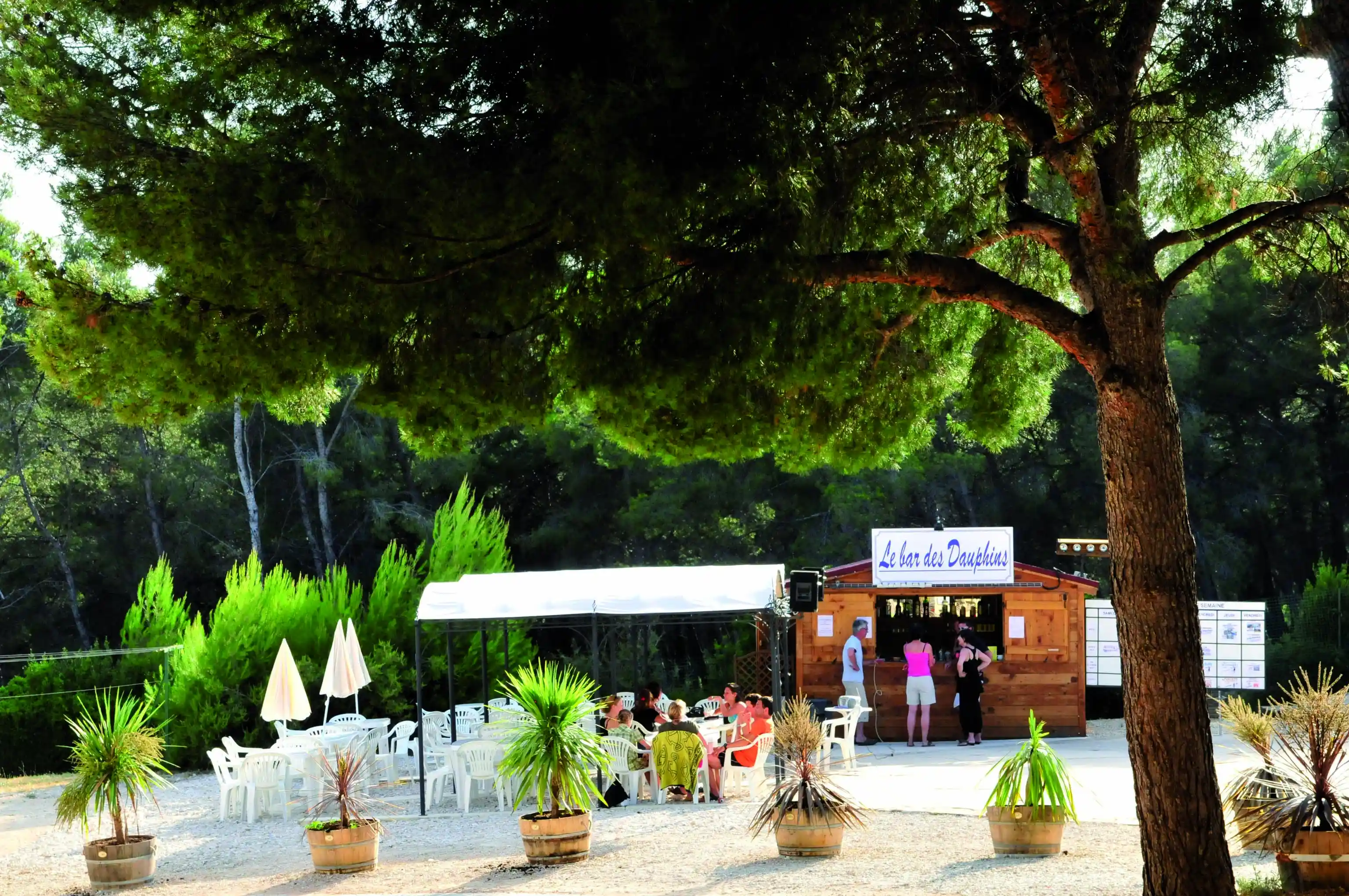 Lagrange Vacances®  - Saint-Cyr-sur-Mer - CAMPING LES DAUPHINS