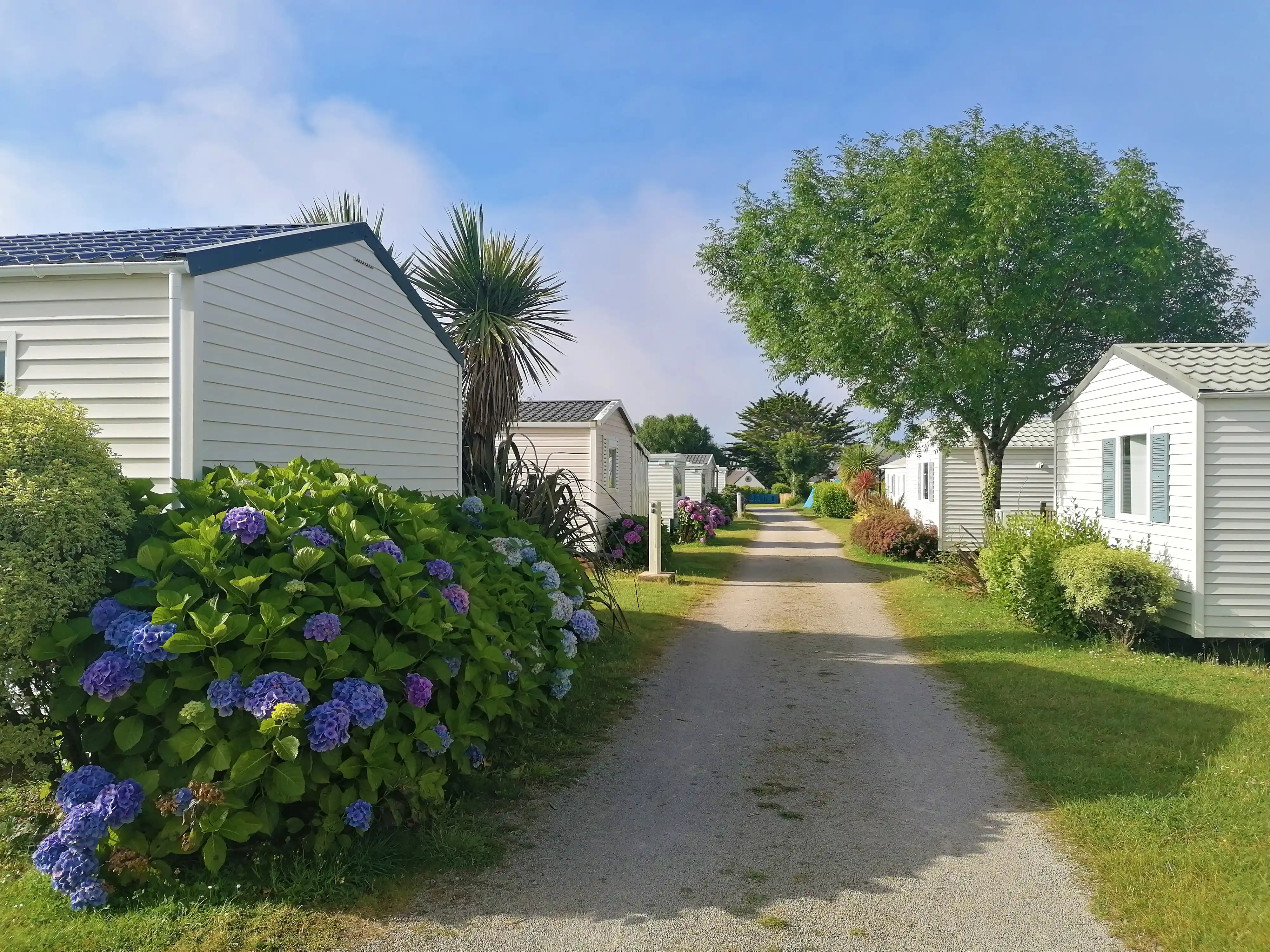 Lagrange Vacances&reg;  - Plozevet - CAMPING DE LA CORNICHE (OPNLECL)