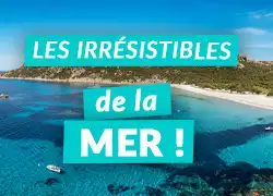2 Tarifs uniques Juillet et Aout