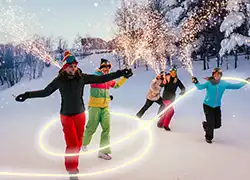 Fêtes de fin d'année en France