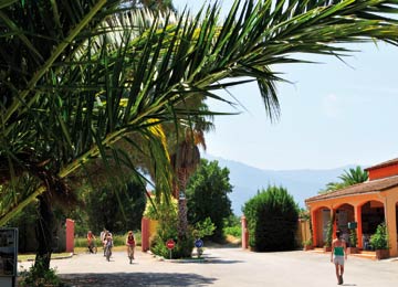 France - Méditerranée Ouest - Argelès sur Mer - Village Vacances Les Abricotiers