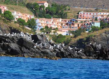 LANGUEDOC-ROUSSILLON - LE VILLAGE DES ALOES