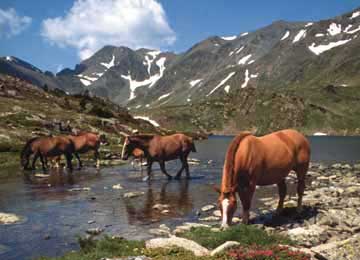 STATION : Font-Romeu