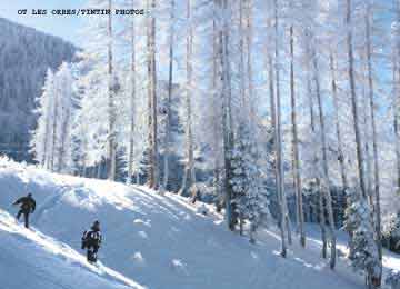 STATION : les Orres