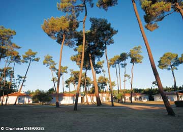 France - Atlantique Nord - Ronce les bains - Camping Sous Les Pins