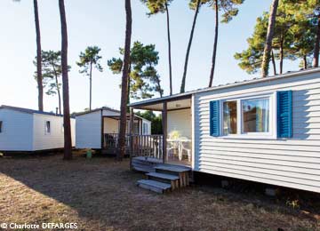 France - Atlantique Nord - Ronce les bains - Camping Sous Les Pins