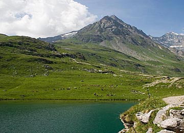 STATION : Sainte-Foy-Tarentaise