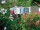 Argeles-sur-Mer : Village Vacances les Abricotiers