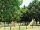 Argeles-sur-Mer : Village Vacances les Abricotiers