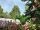Argeles-sur-Mer : Village Vacances les Abricotiers