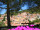 Bormes-les-Mimosas : Camping Parc de Bormes