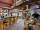 Dol-de-Bretagne : Domaine des Ormes