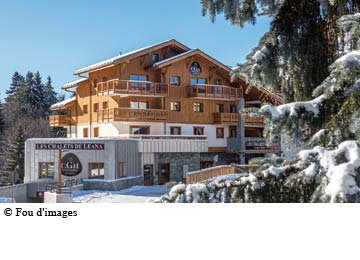 France - Alpes et Savoie - Carroz d'Arâches - Résidence les Chalets de Leana