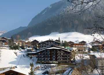 Alpes du Nord - Hôtel Le Petit Dru 4*