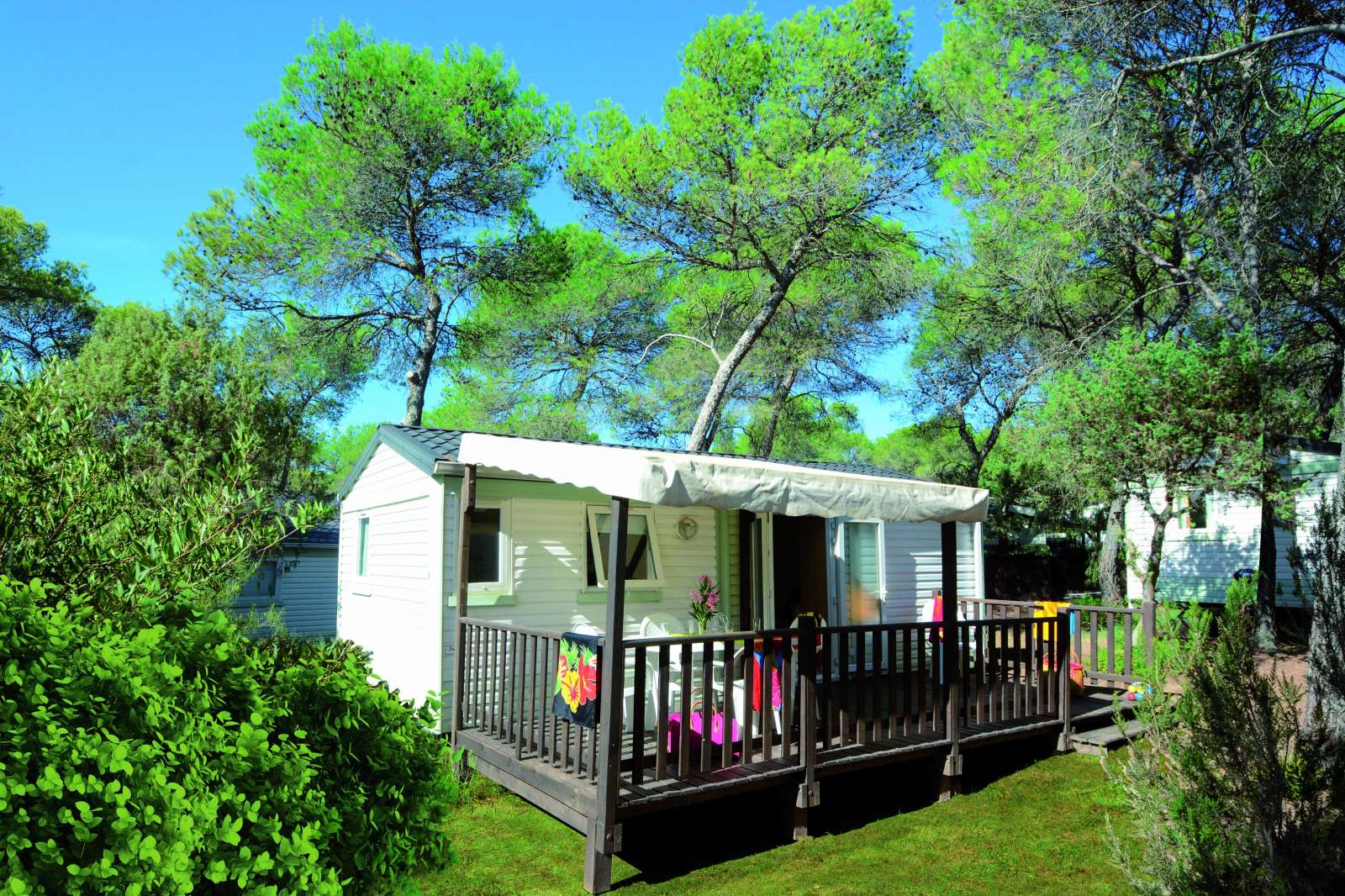 France - Côte d'Azur - Puget sur Argens - Parc Saint James Oasis