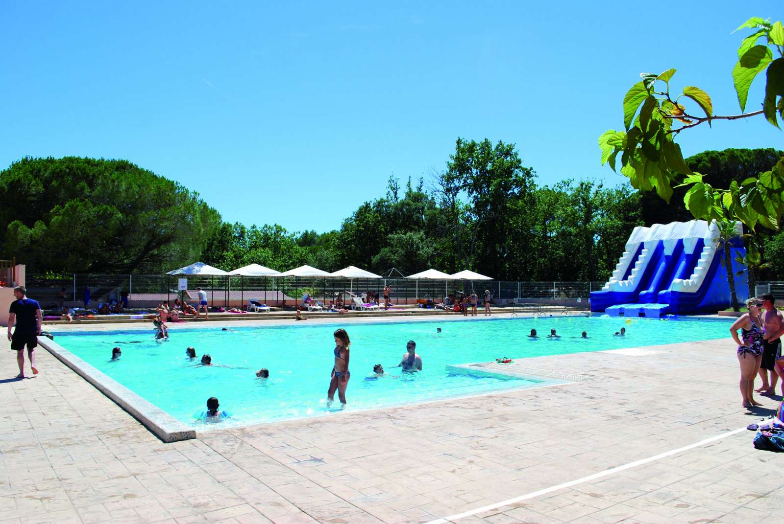 France - Côte d'Azur - Puget sur Argens - Parc Saint James Oasis