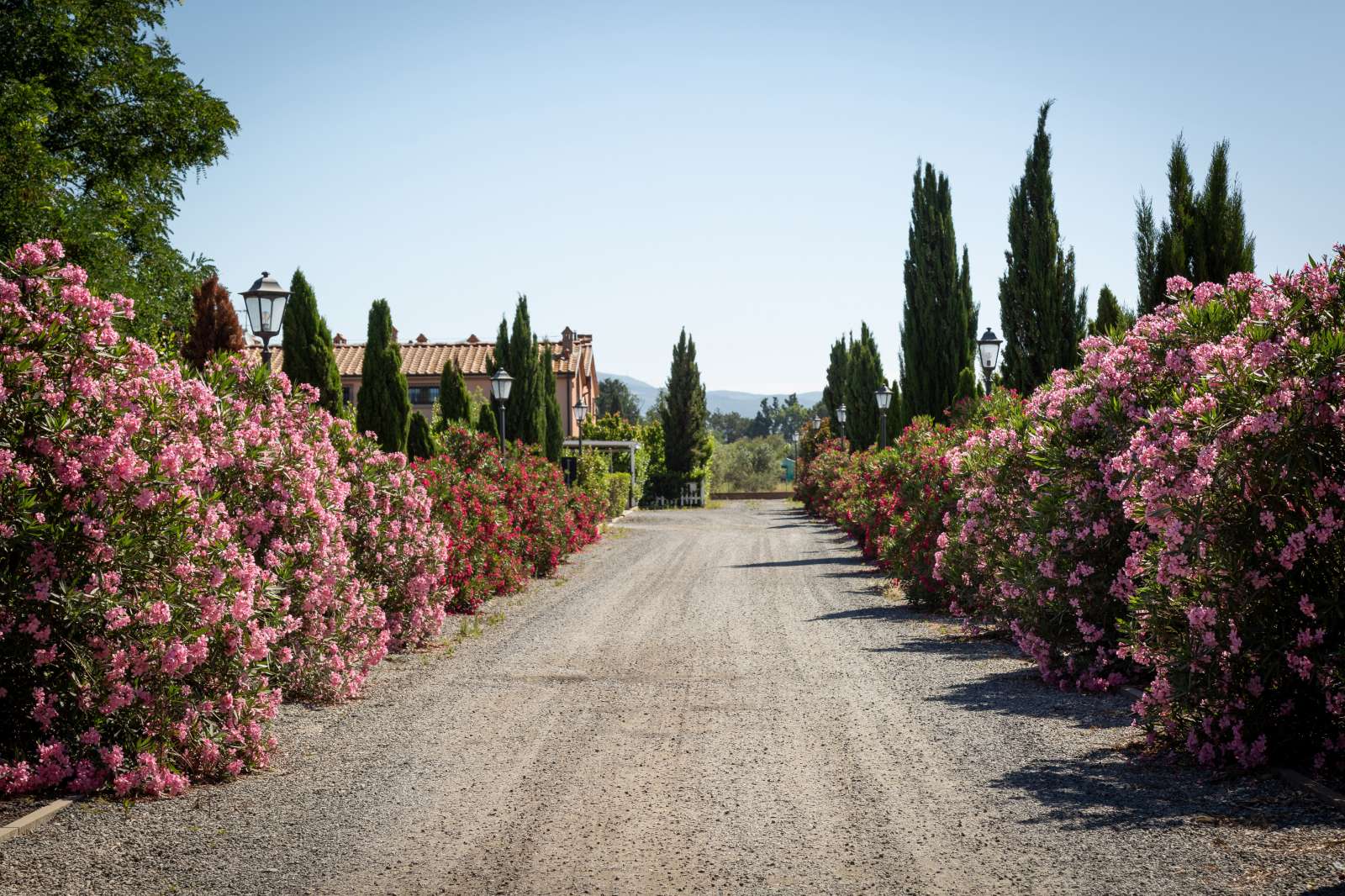 Italie - Toscane - Vada - Résidence Borgo Verde